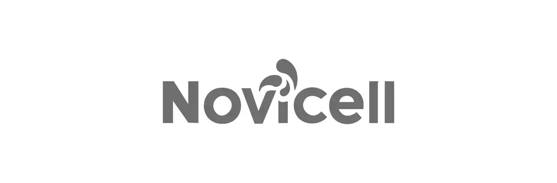 nowicjusz